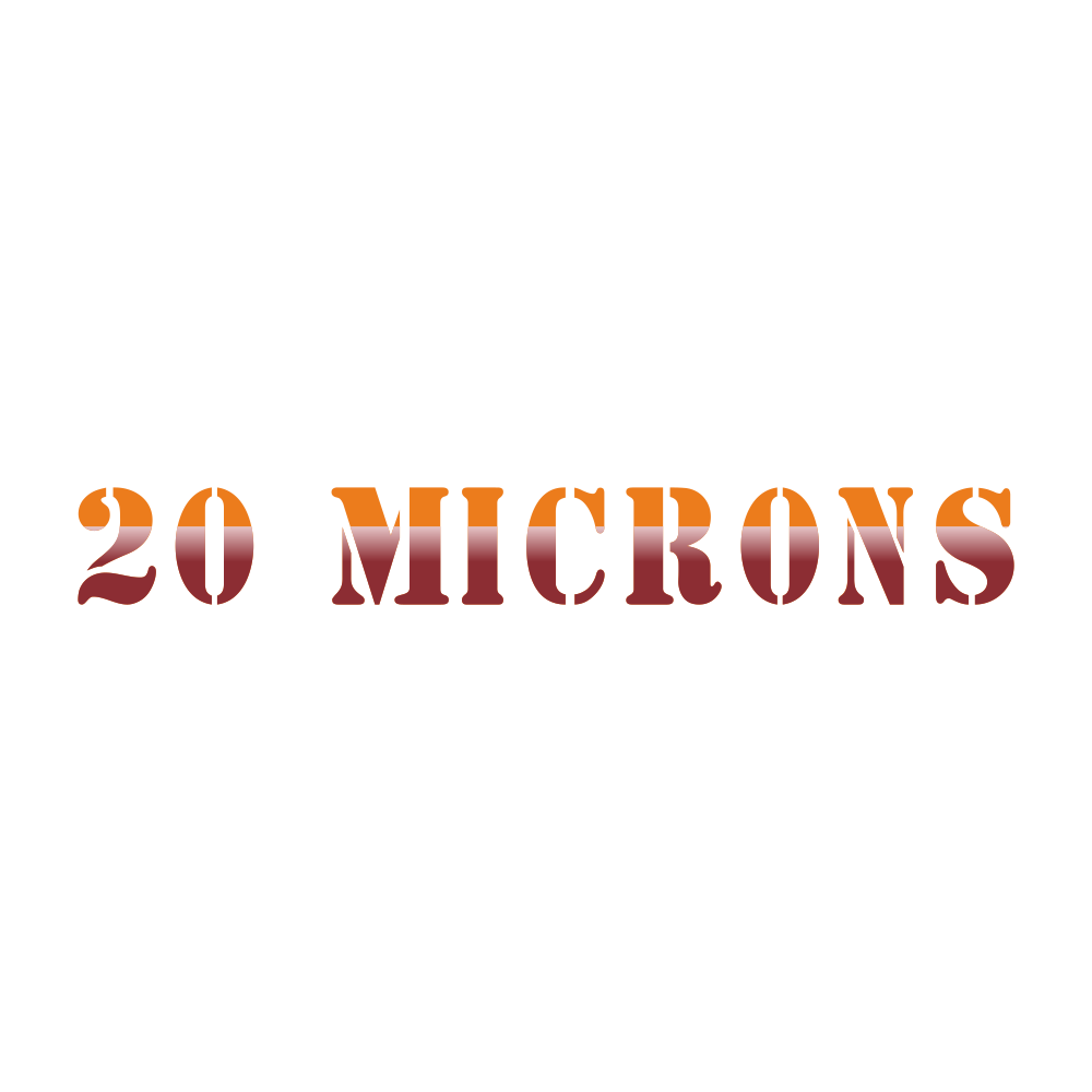 20MICRONS.NSE logo