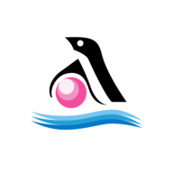 ACCURACY.NSE logo