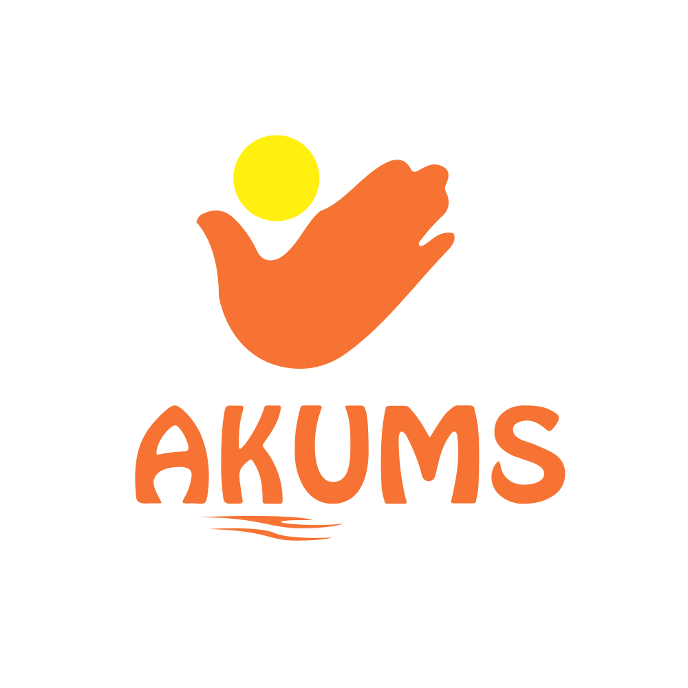 AKUMS.NSE logo