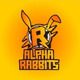 ARABBIT logo