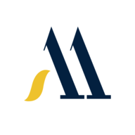 AVIANSH.NSE logo