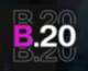 B20 logo