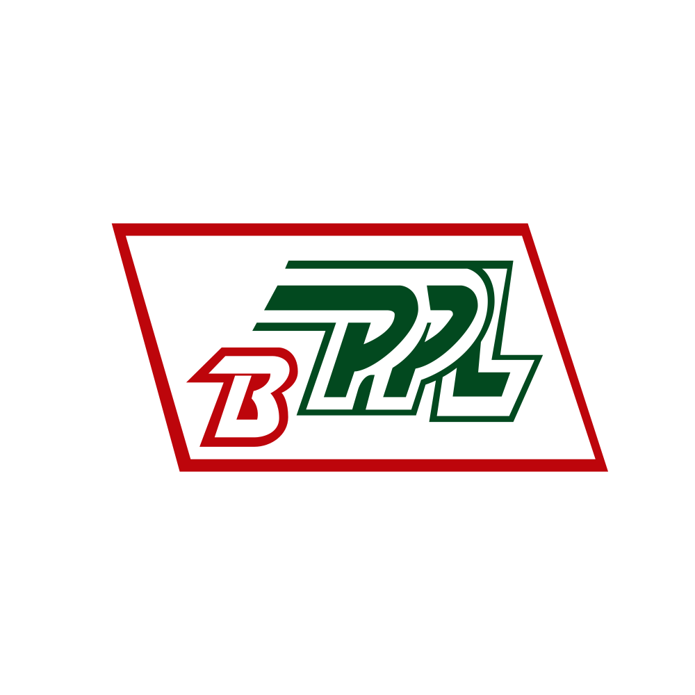 BALAJIPHOS.NSE logo