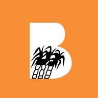 BALRAMCHIN.NSE logo
