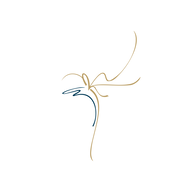 BANSWRAS.NSE logo