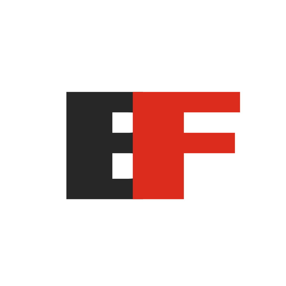 BARFLEX.NSE logo