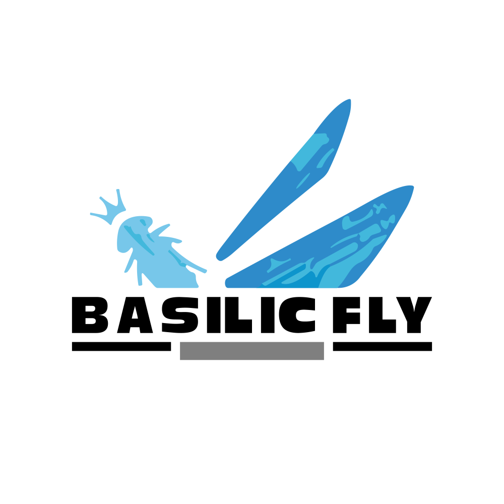 BASILIC.NSE logo
