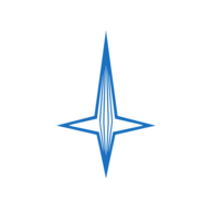 BEARDSELL.NSE logo