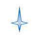 BEARDSELL.NSE logo