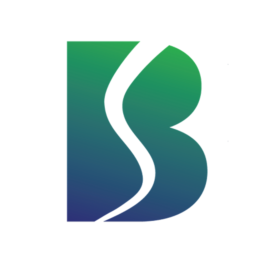 BELRISE.NSE logo