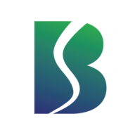 BELRISE.NSE logo