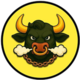 BNBULL logo