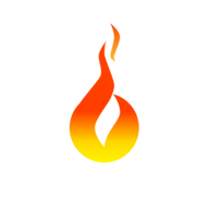 BORN logo