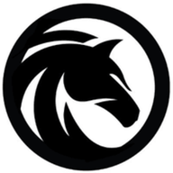 BS logo