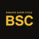 BSC logo