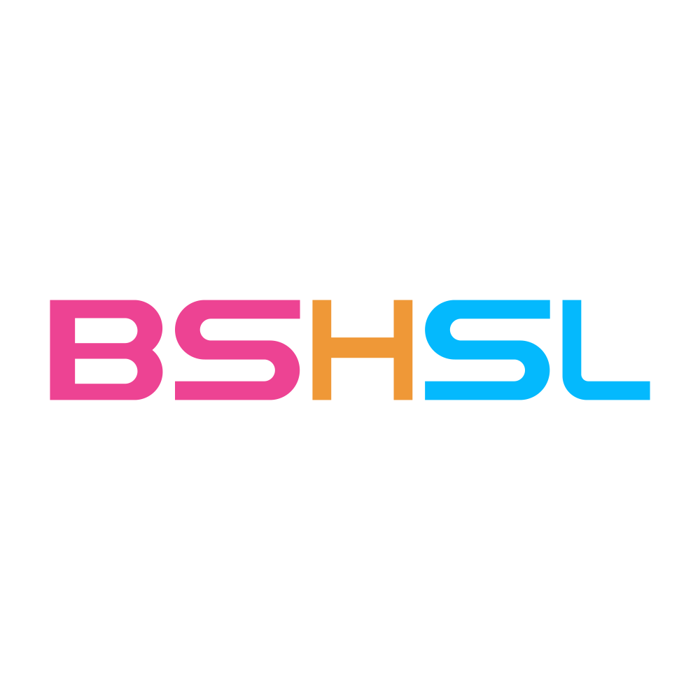 BSHSL.NSE logo
