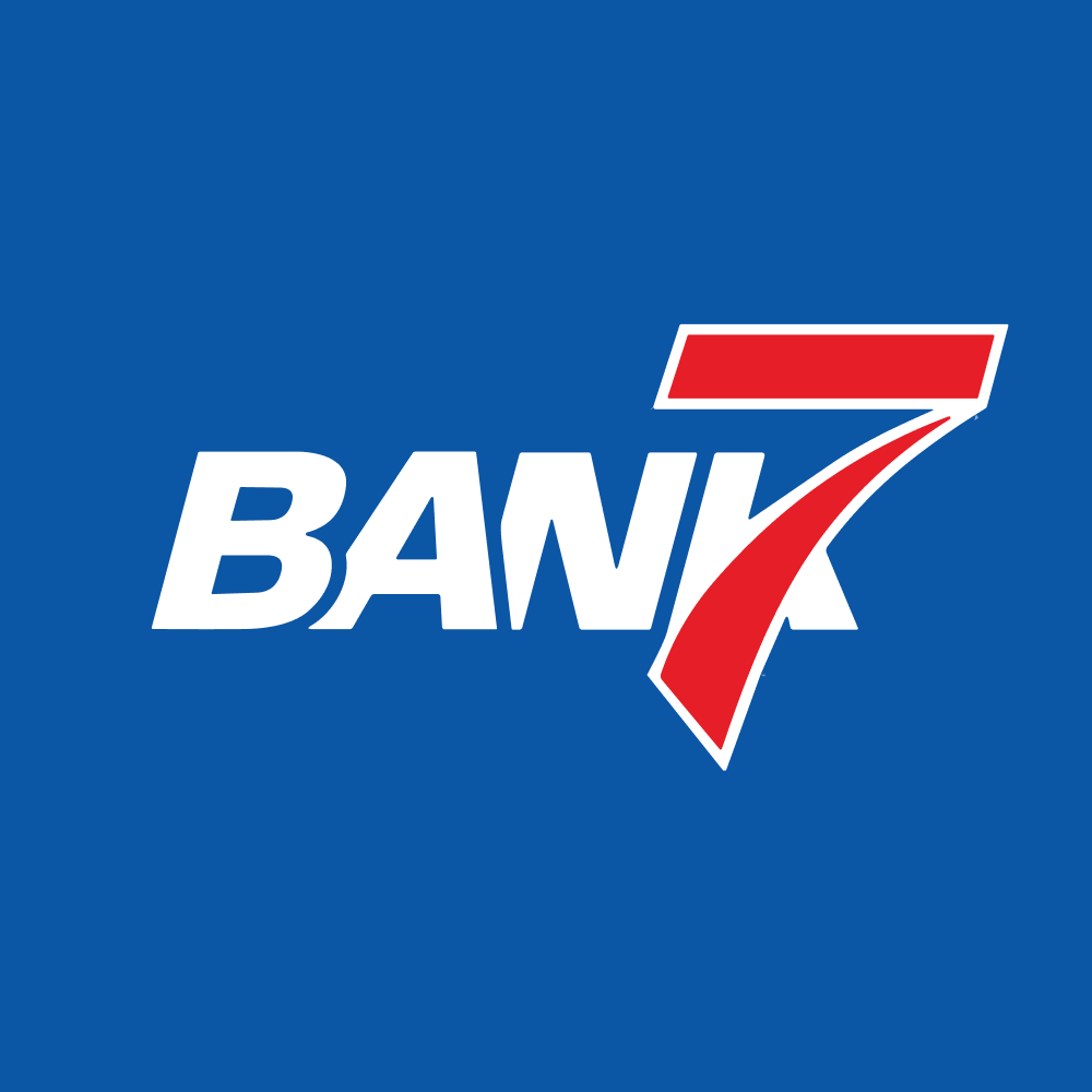 BSVN logo