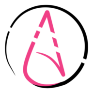 CAIR logo