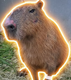 CAPYBARA logo