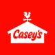 CASY logo