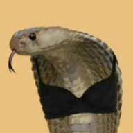 COBRA logo