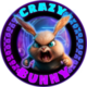 CRAZYBUNNY logo