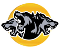 CRBRUS logo