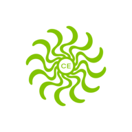 CREATIVEYE.NSE logo