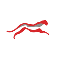 CTNT logo