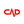 CVKD