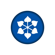 DCMSRIND.NSE logo