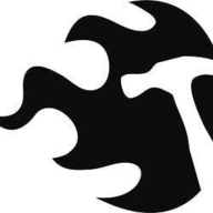 DEVELOPER logo