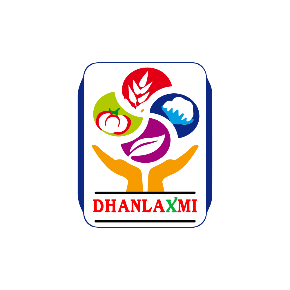 DHANLAXMI.NSE logo