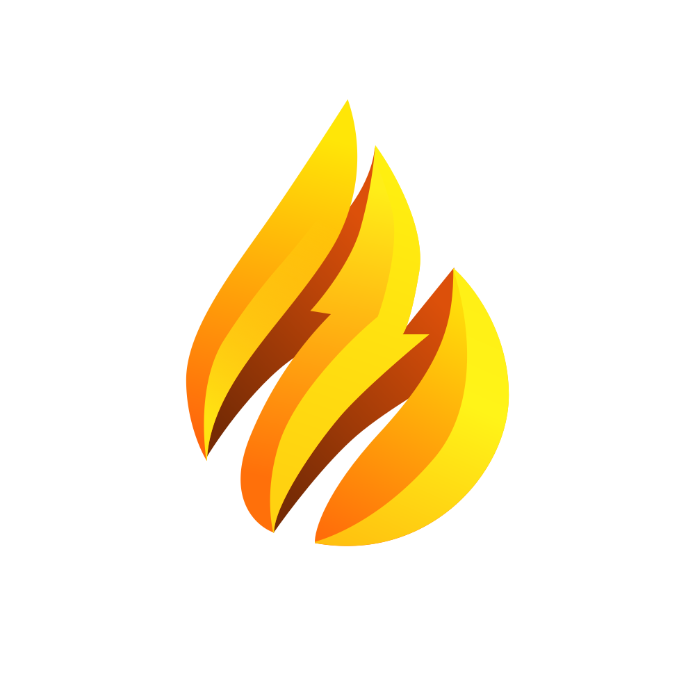 DHARIWAL.NSE logo