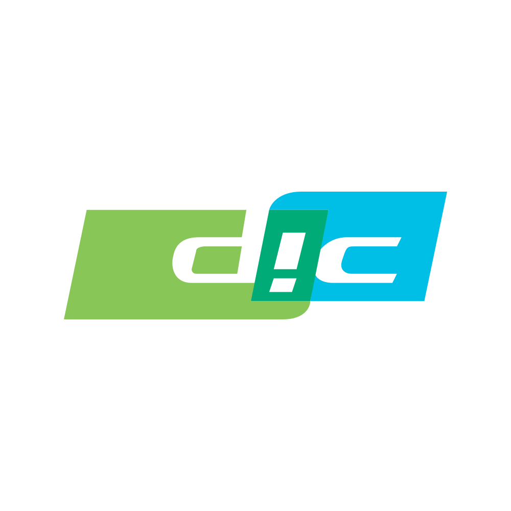 DICIND.NSE logo