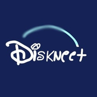 DISKNEE logo
