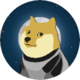 DOGE1 logo
