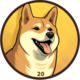 DOGE20 logo