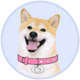 DOGEGF logo