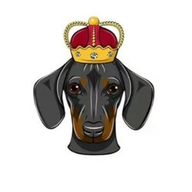 DOGEKING logo