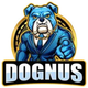 DOGNUS logo