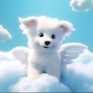 DOVE logo