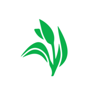 DTIL.NSE logo