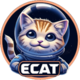 ECAT logo