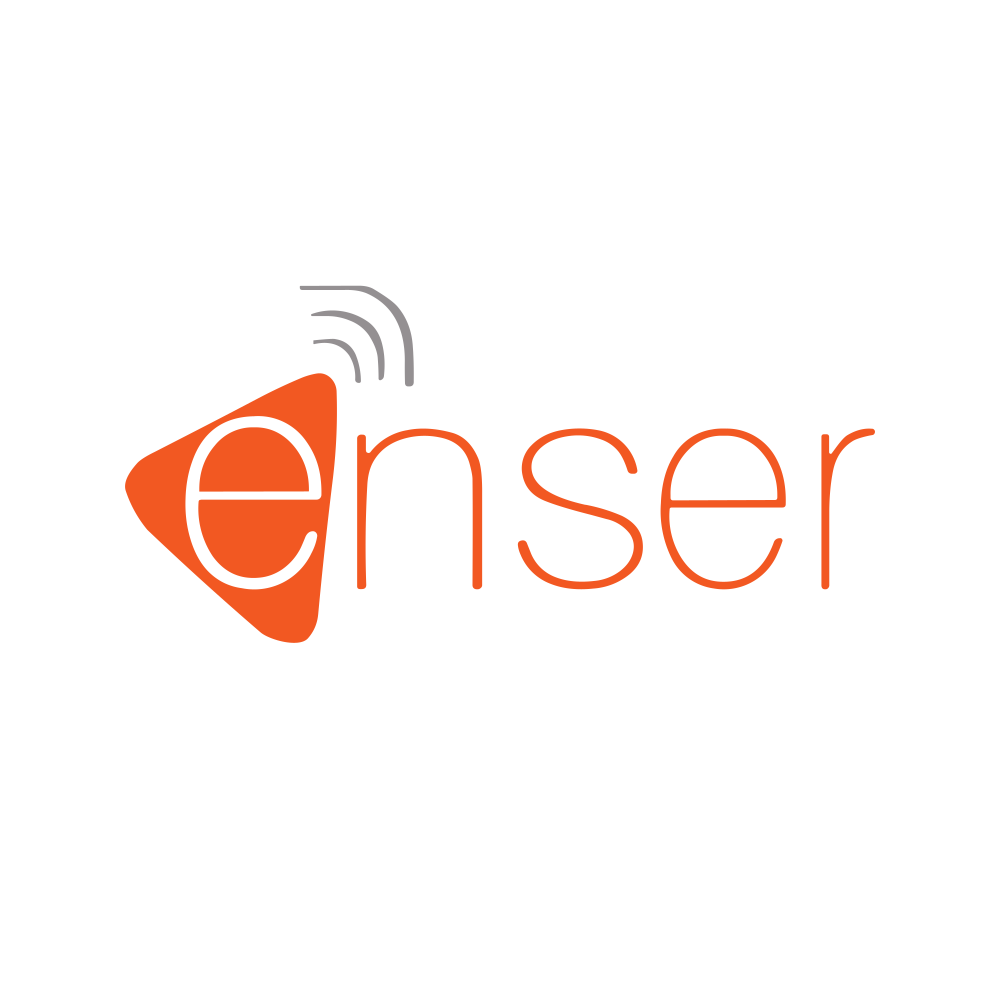 ENSER.NSE logo