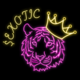 EXOTIC logo
