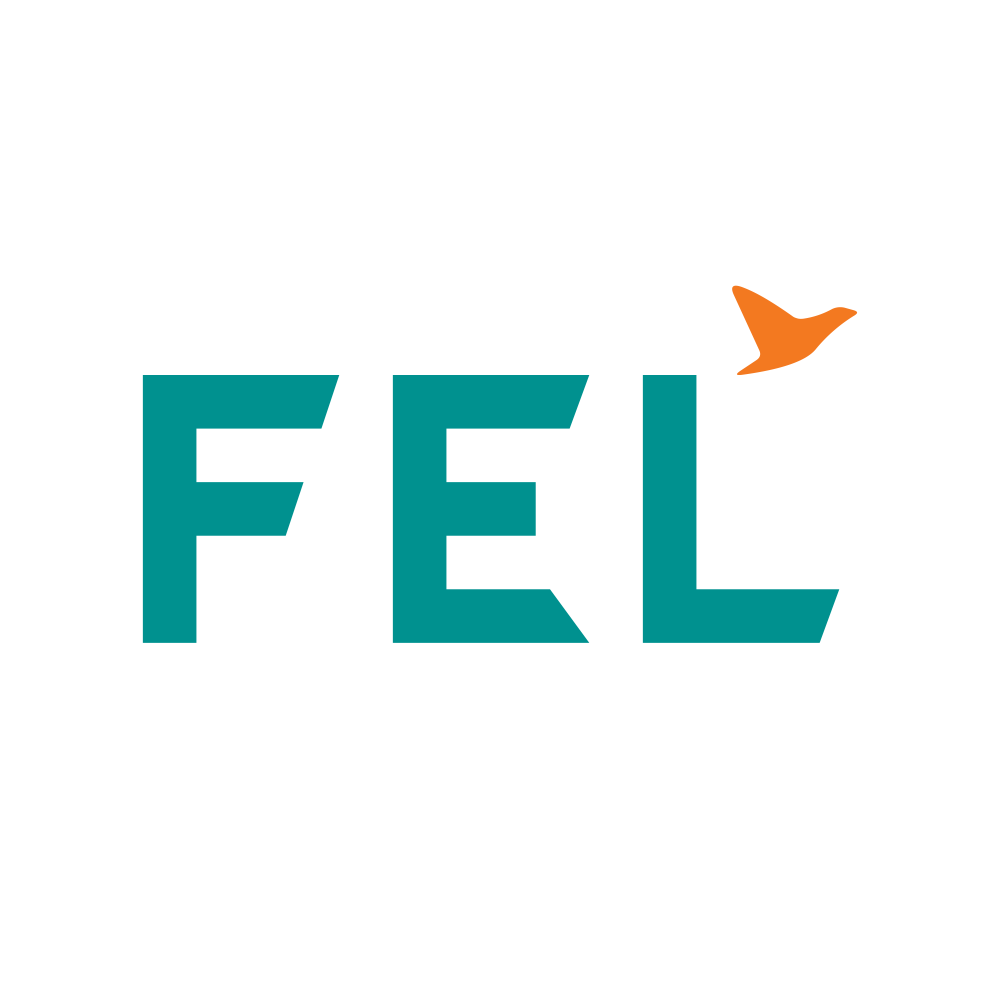 FELDVR.NSE logo
