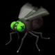 FLIES logo