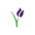 symbol logo