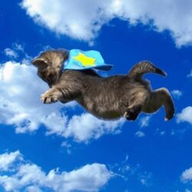 FLYCAT logo